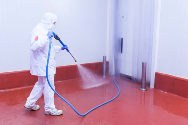 Best Playground Equipment Cleaning  in Fort Polk South, LA